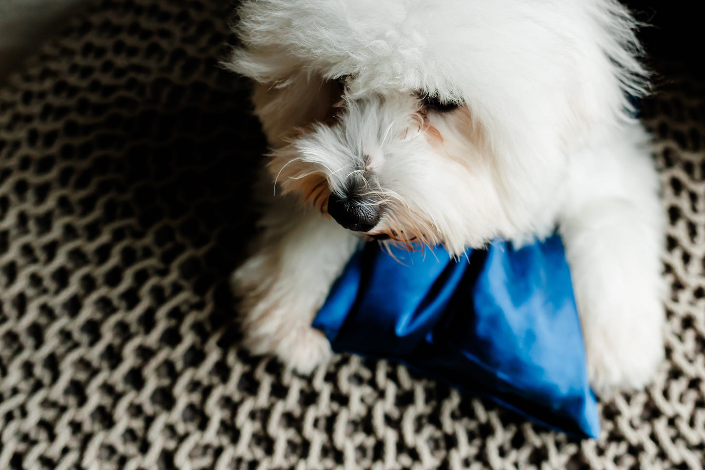 Silk Pillow for Pets