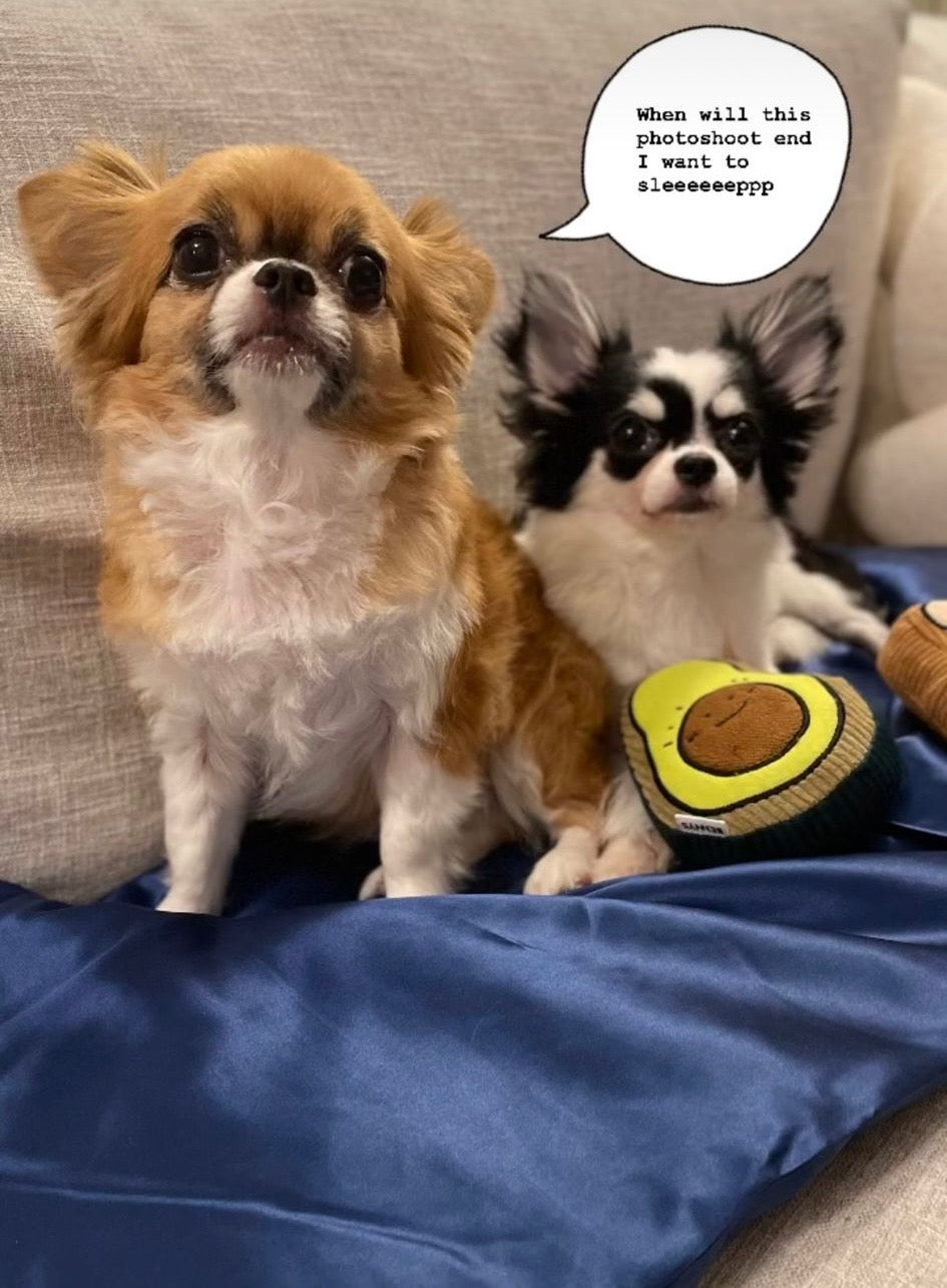 Silk Pillow for Pets