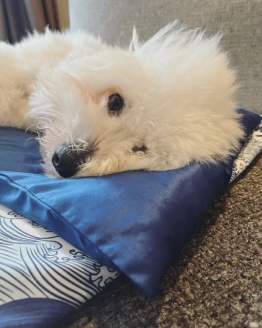 Silk Pillow for Pets