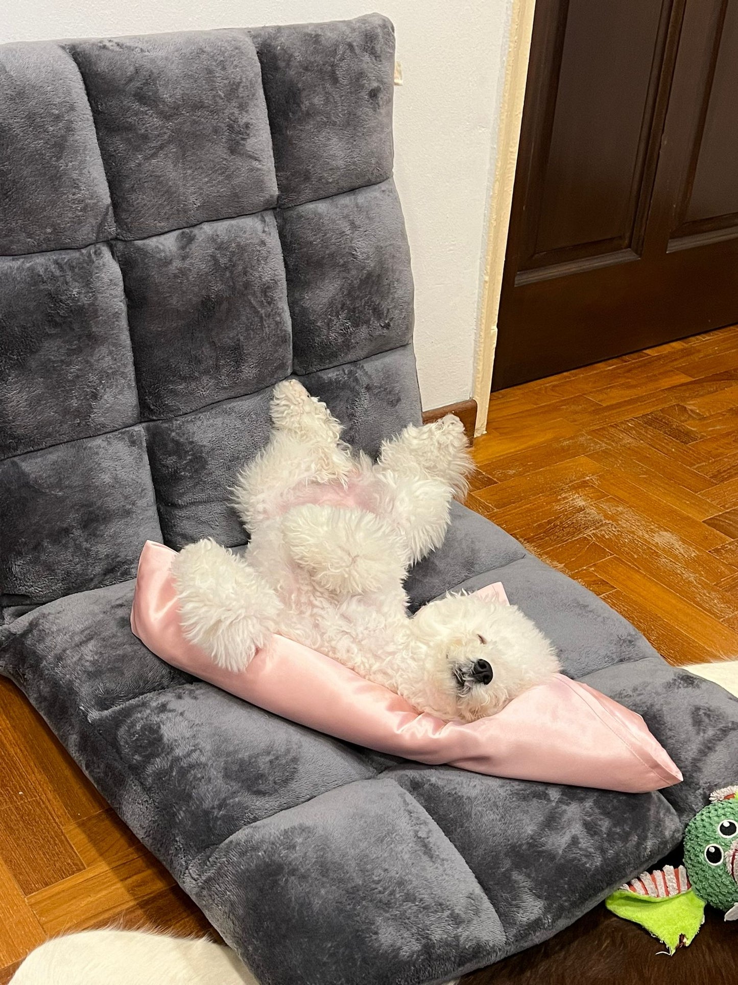 Silk Pillow for Pets