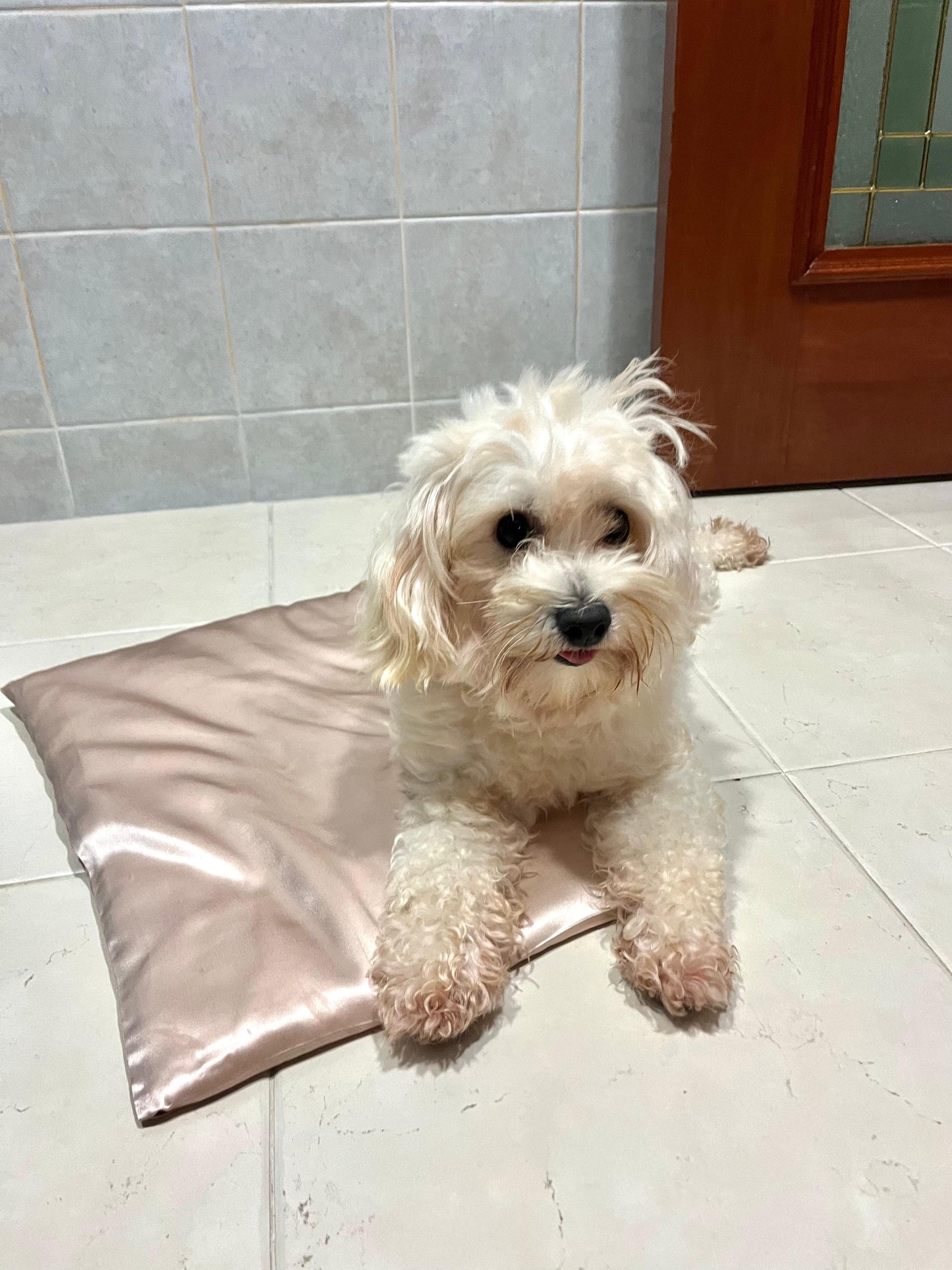 Silk Pillow for Pets