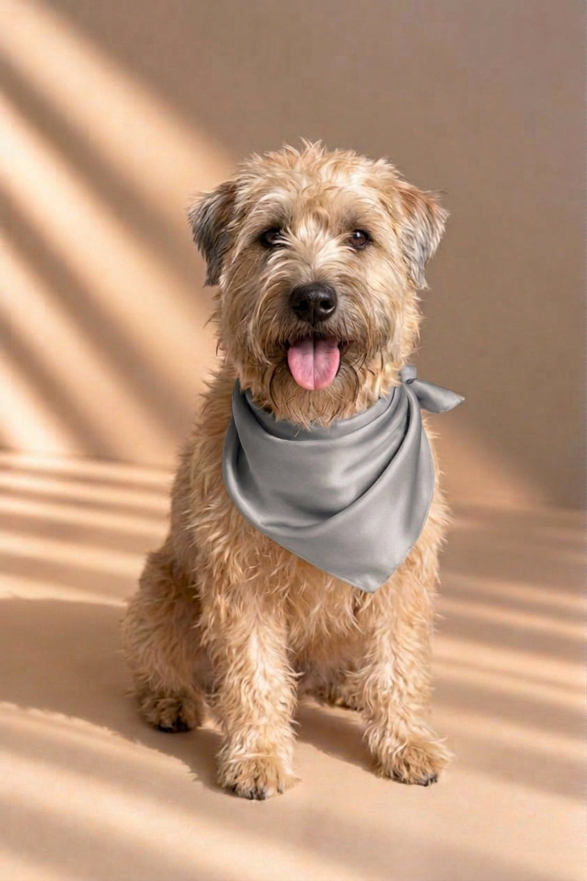 Soie & Paws- Silk Pets Bandana (NEW)