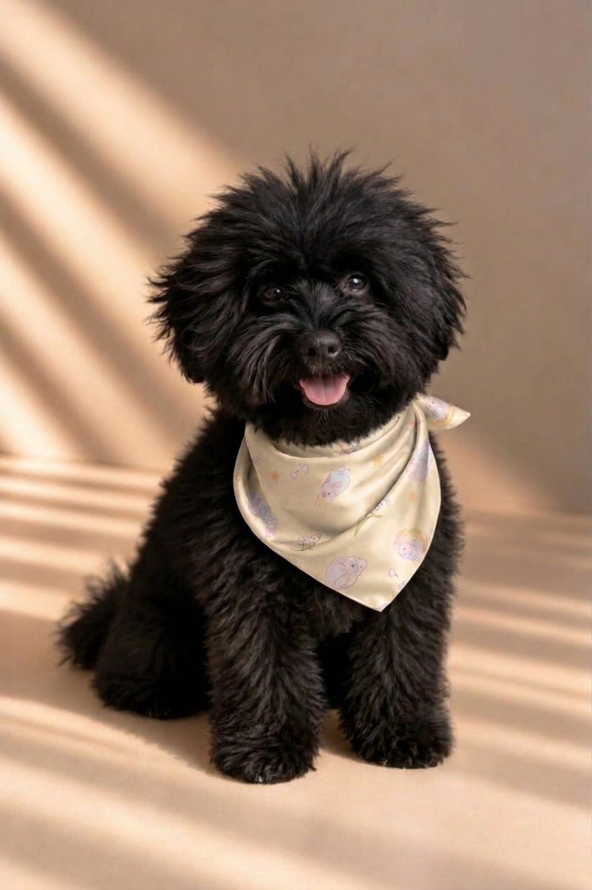 Soie & Paws- Silk Pets Bandana (NEW)