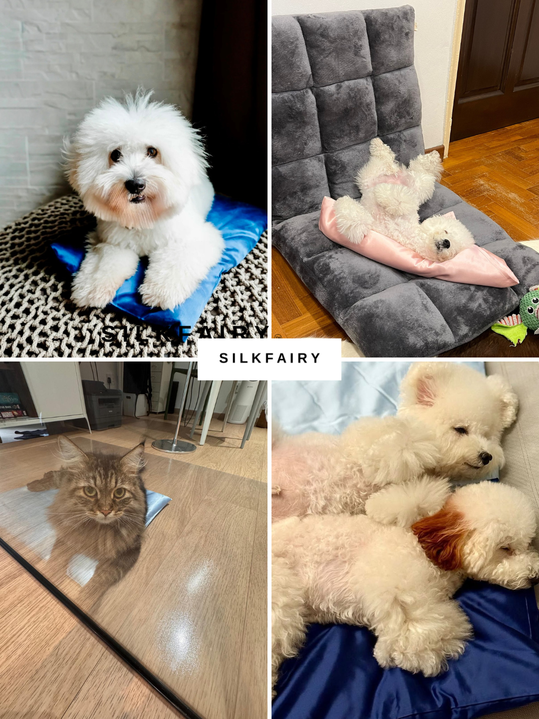 Pawsome Mat: Silk Mat For Pets