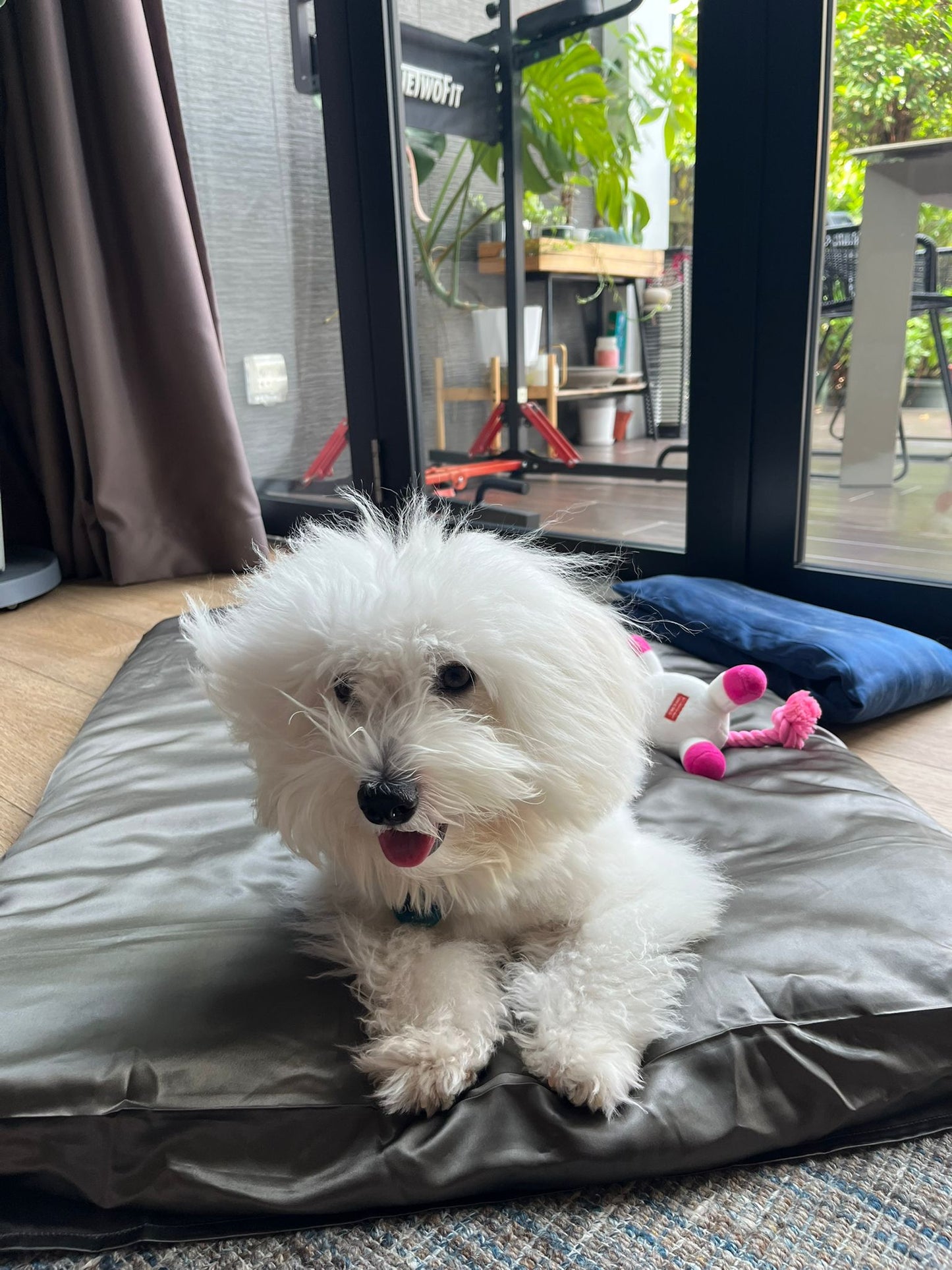 XL Silk Pet Bed-First in the market! (New Launch)