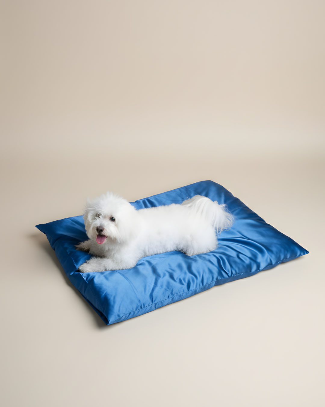 XL Silk Pet Bed-First in the market! (New Launch)