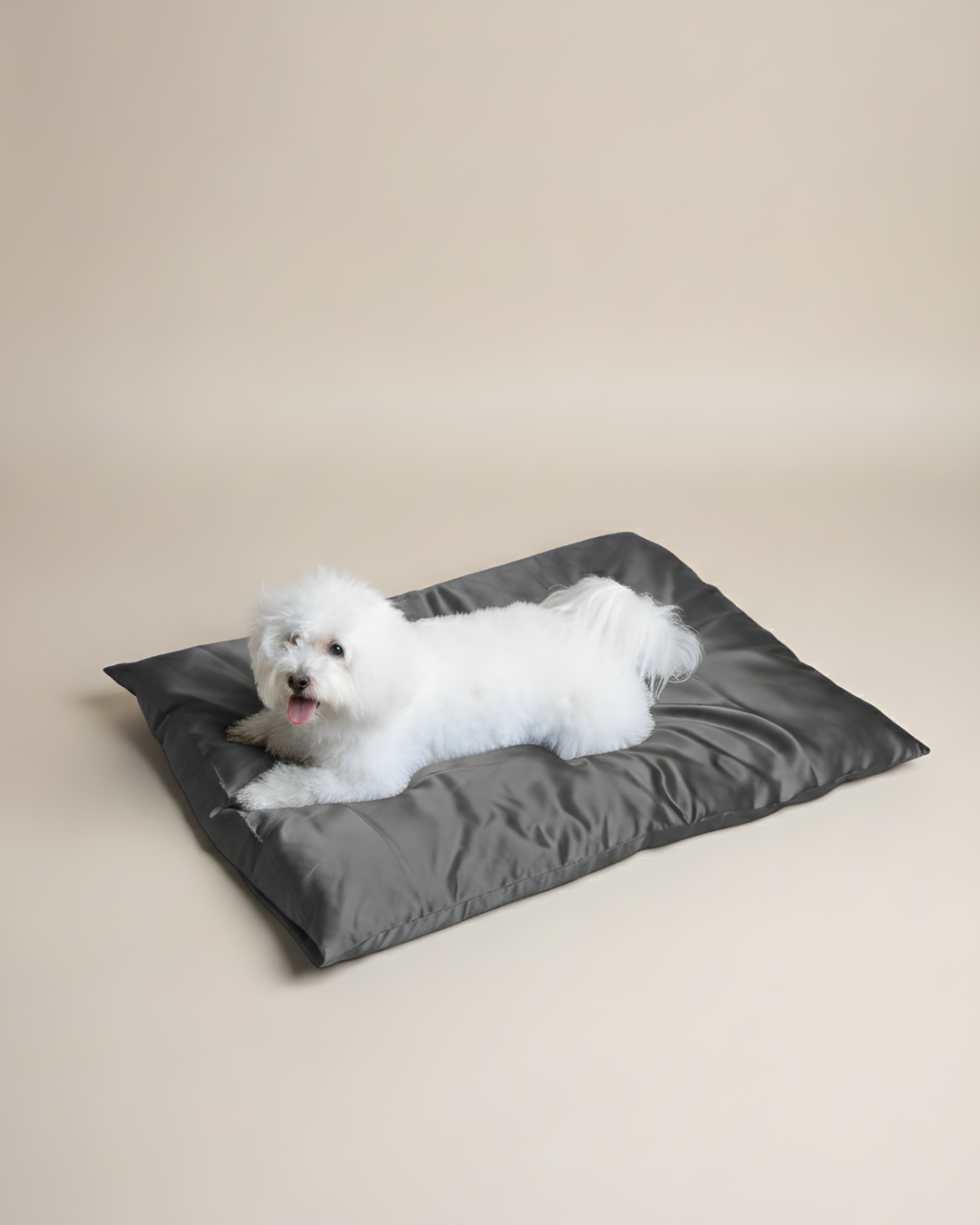 XL Silk Pet Bed-First in the market! (New Launch)