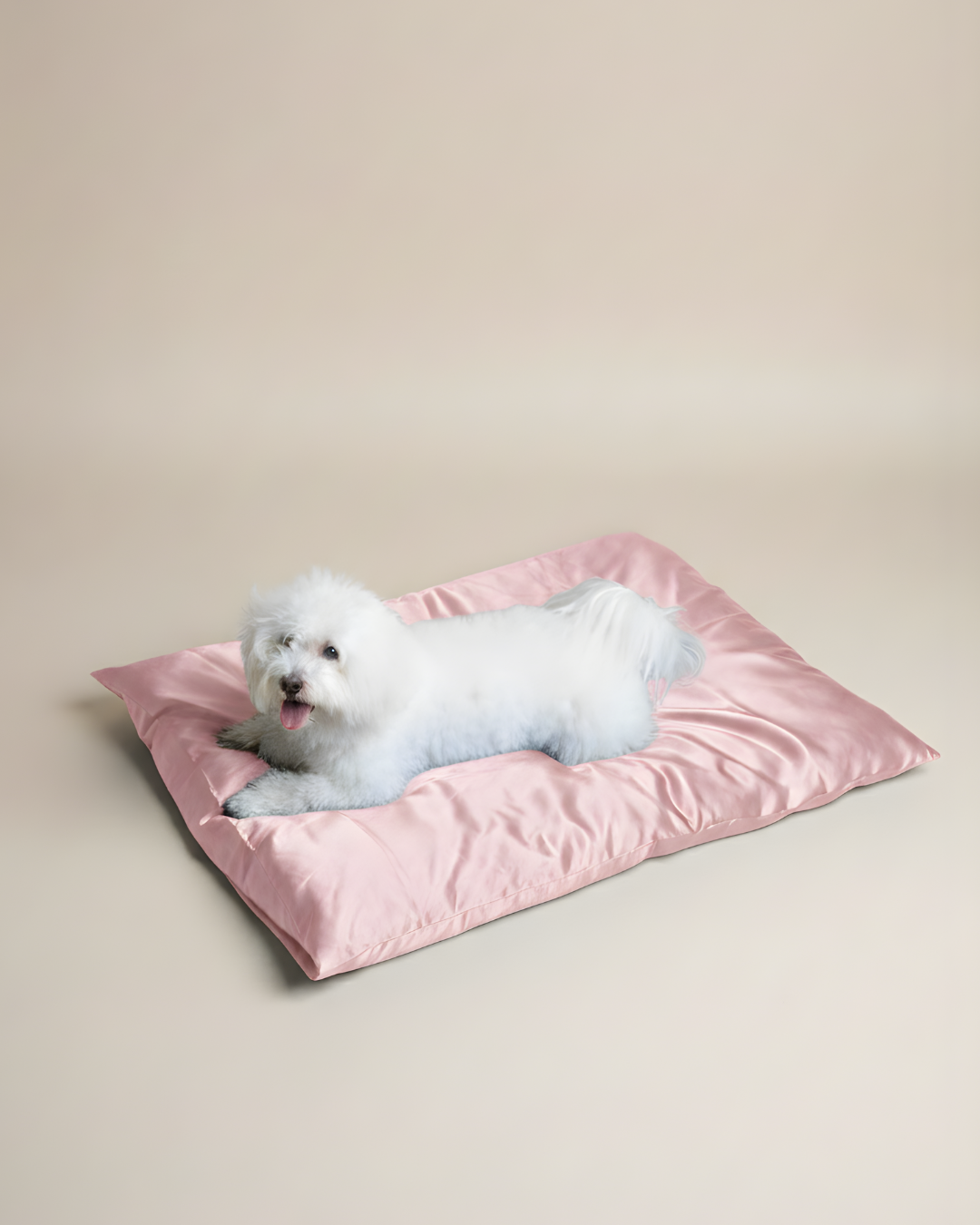 XL Silk Pet Bed-First in the market! (New Launch)